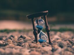 Mastering Process Improvements for Smarter Business Growth